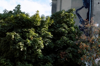 Radomsko w obiektywie - fotospacer